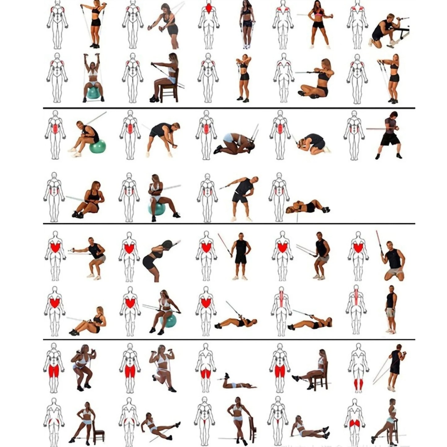 11 pcs Resistance Band Set Fitness Band Pull Rope Elastic Training Band With Door Anchor Handles Carry Bag Legs Ankle Straps