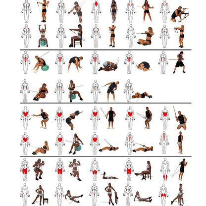 11 pcs Resistance Band Set Fitness Band Pull Rope Elastic Training Band With Door Anchor Handles Carry Bag Legs Ankle Straps